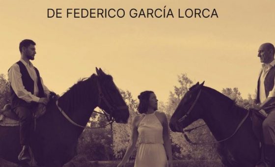 Bodas de sangre